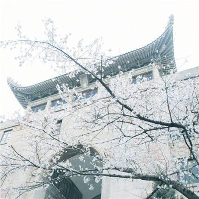 湖南省衡阳市委原常委胡绪阳等3人被提起公诉